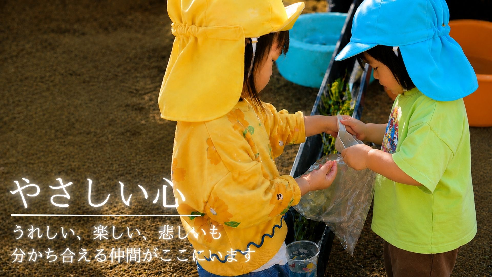 かりゆし保育園 写真2